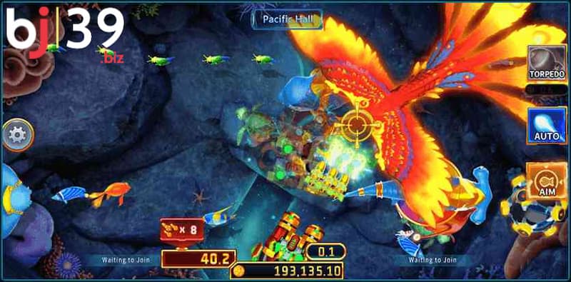  Ocen Phoenix BJ39